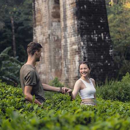 Eco Retreats image